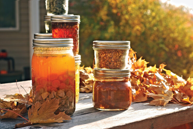 Pressure Canning Basics